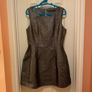 LIKE NEW Shimmering Ark & Co Dress